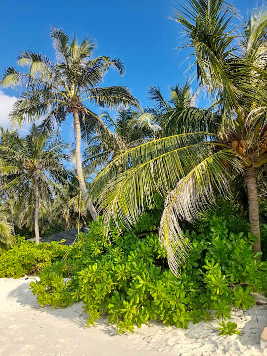Strand Summer Island Maldives