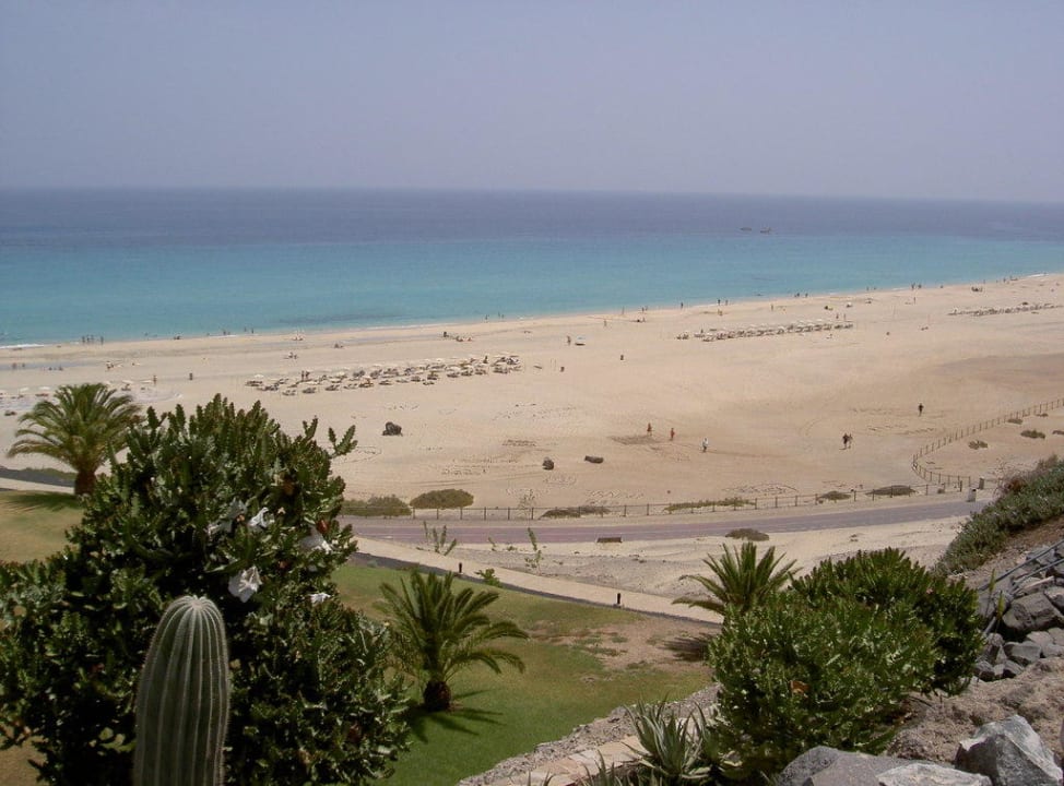 Blick aufs Meer Iberostar Waves Gaviotas Park