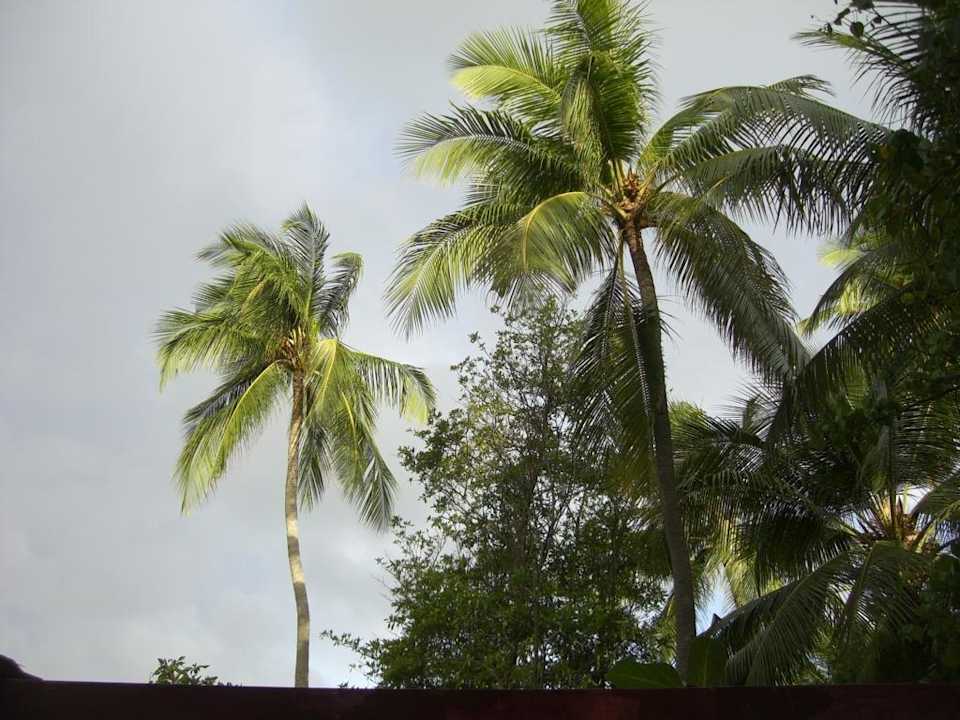 Badezimmer ananea Diamonds Athuruga