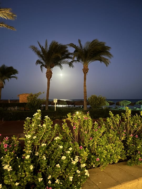 Strand Sentido Caribbean World Soma Bay