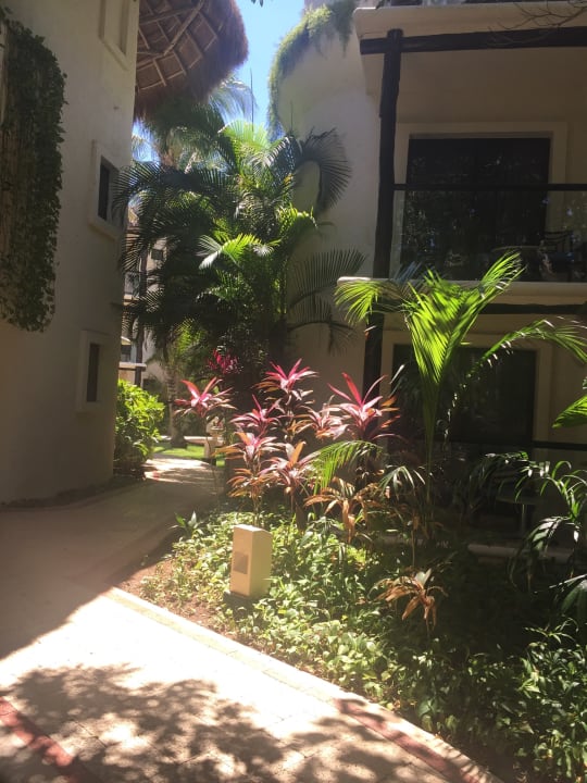 Gartenanlage The Reef Playacar