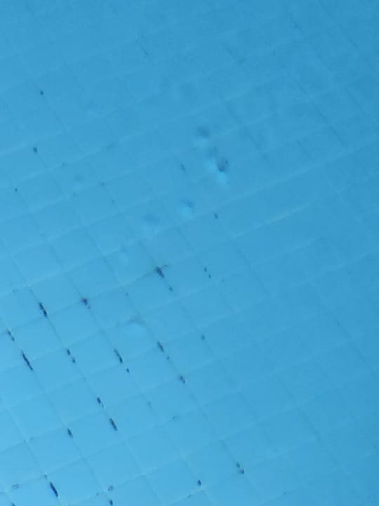 Pool Side Aquamarin Resort & Spa