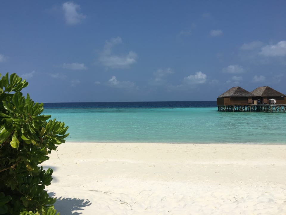 Ausblick Veligandu Maldives Resort Island