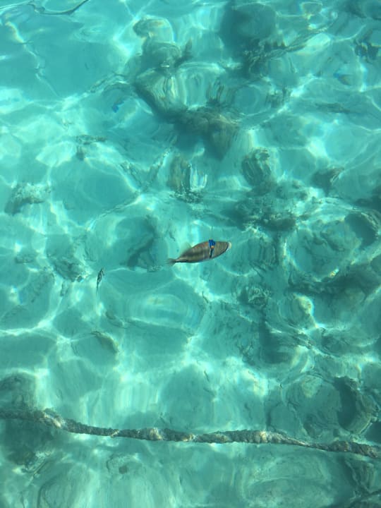 Strand Reef Oasis Beach Resort