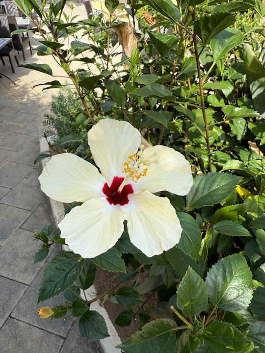 Gartenanlage Aldiana Club Rocca Nettuno Calabria