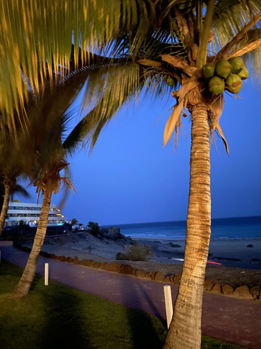 Strand Iberostar Selection Fuerteventura Palace