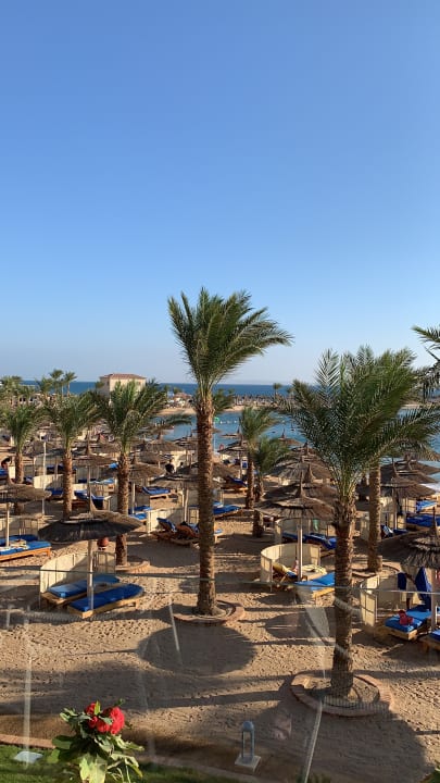Ausblick Beach Albatros Resort