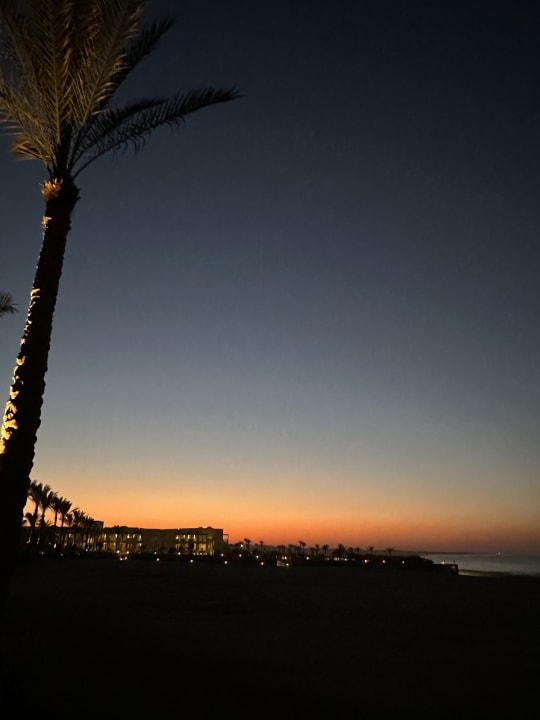 Gartenanlage Steigenberger Coraya Beach - Adults only