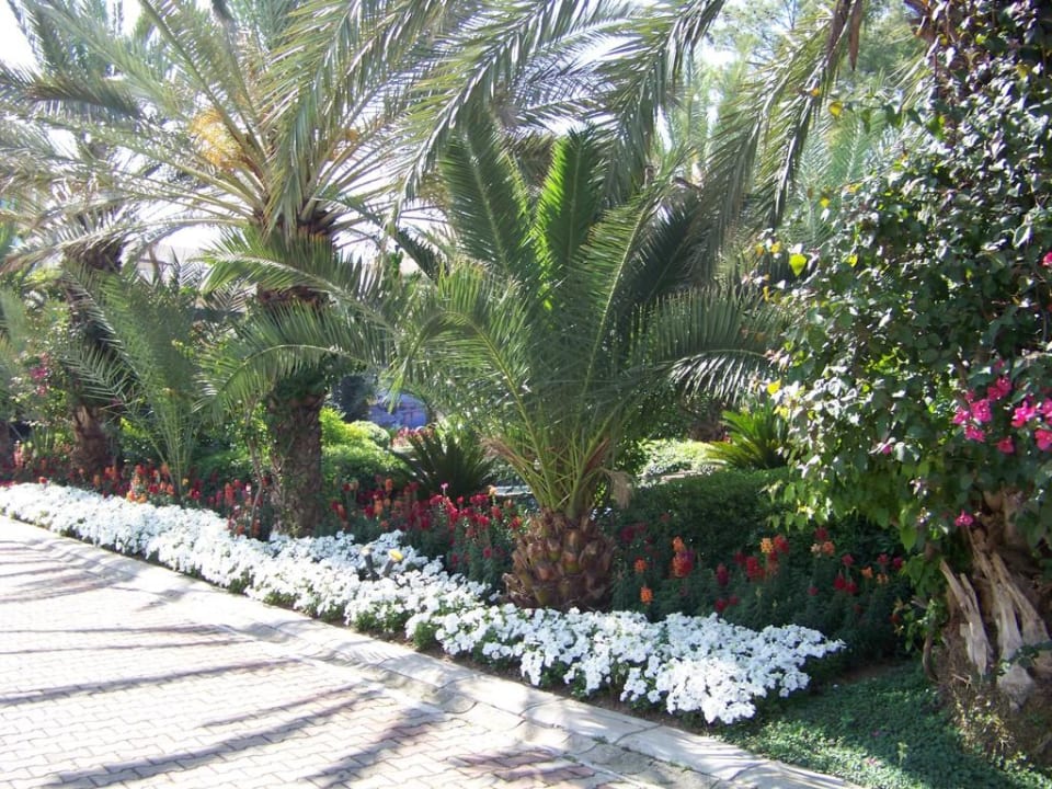 Hotel Rixos Tekirova Rixos Premium Tekirova