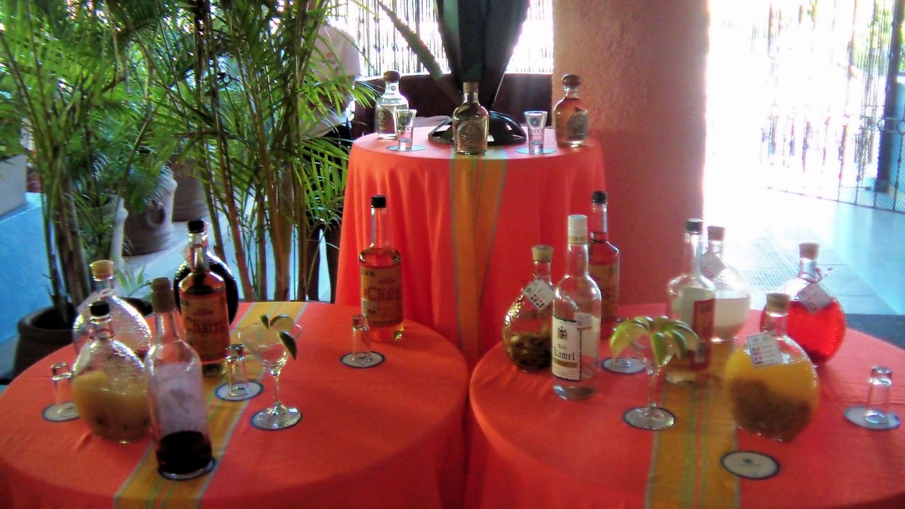 Tequila-Bar Sandos Playacar Select Club Adults only - All Inclusive