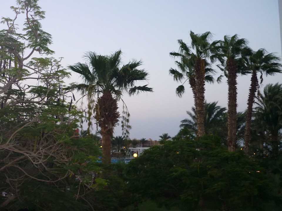 Blick aus vom Balkon Arabia Azur Resort