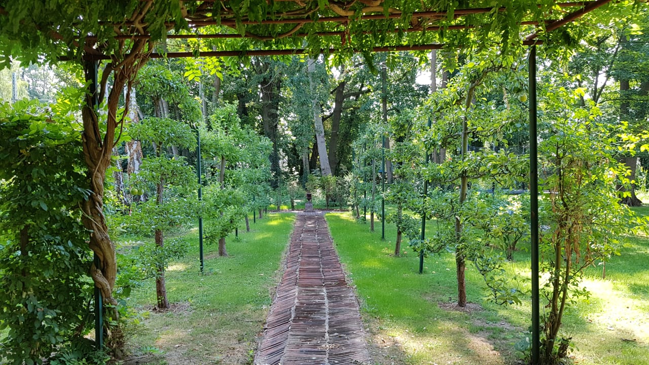 Gartenanlage Pension Villa Fortuna