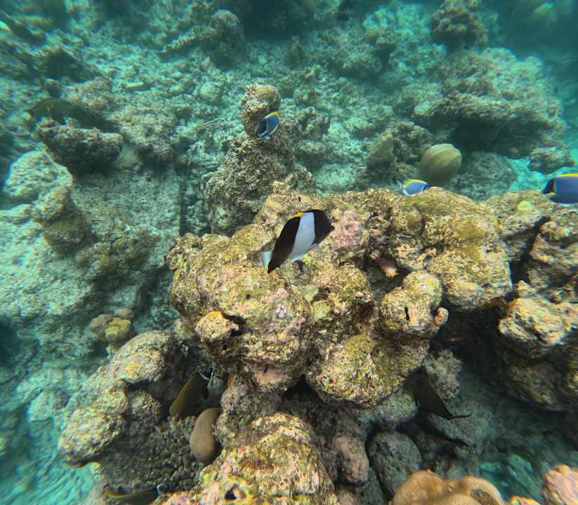 Sonstiges Kuramathi Maldives