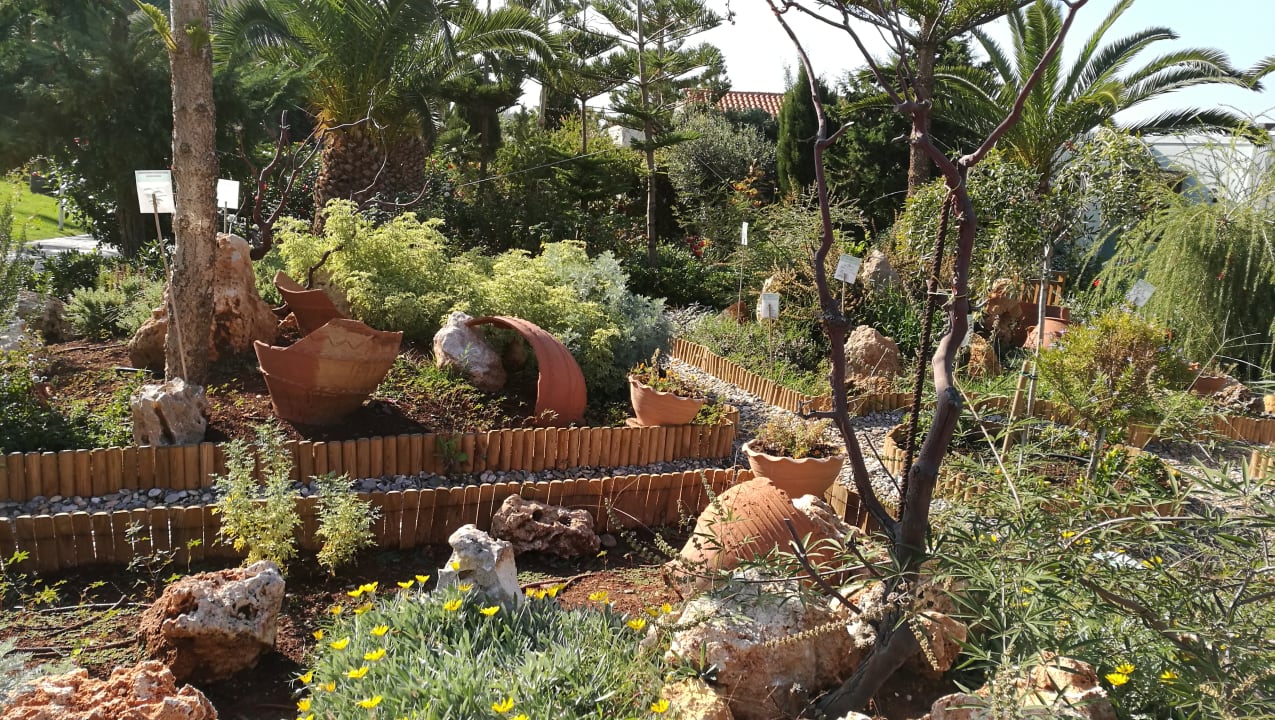 Gartenanlage Iberostar Selection Creta Marine