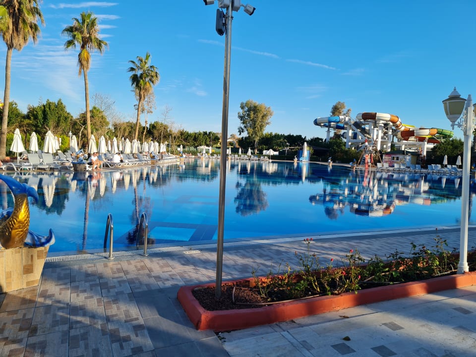 Pool Hotel Delphin Imperial