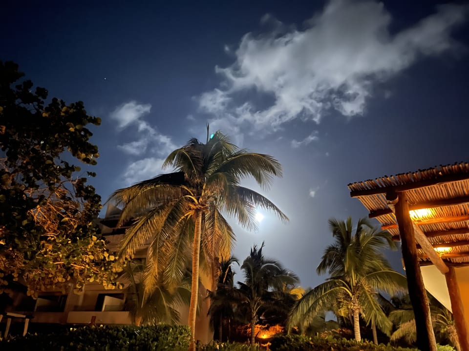 Außenansicht Akumal Bay Beach & Wellness Resort