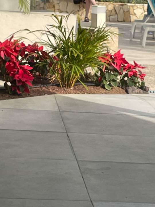 Außenansicht Alua Suites Fuerteventura