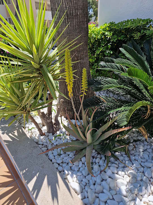 Gartenanlage Valentin Somni Hotel & Suites