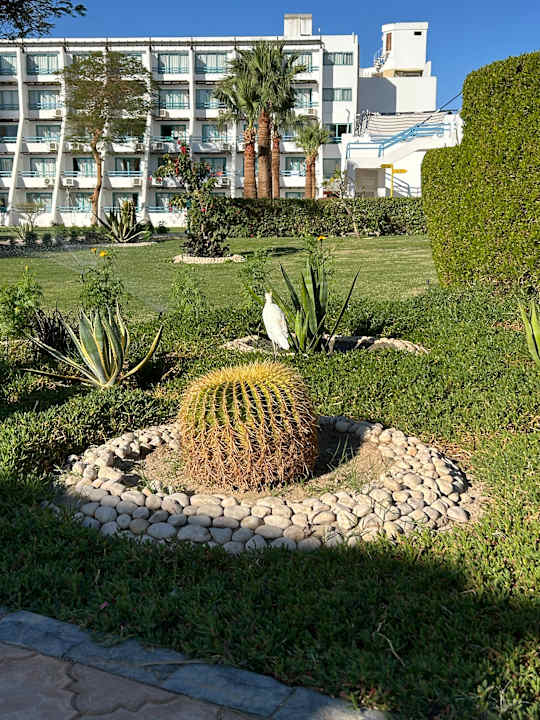 Außenansicht Shams Safaga Resort