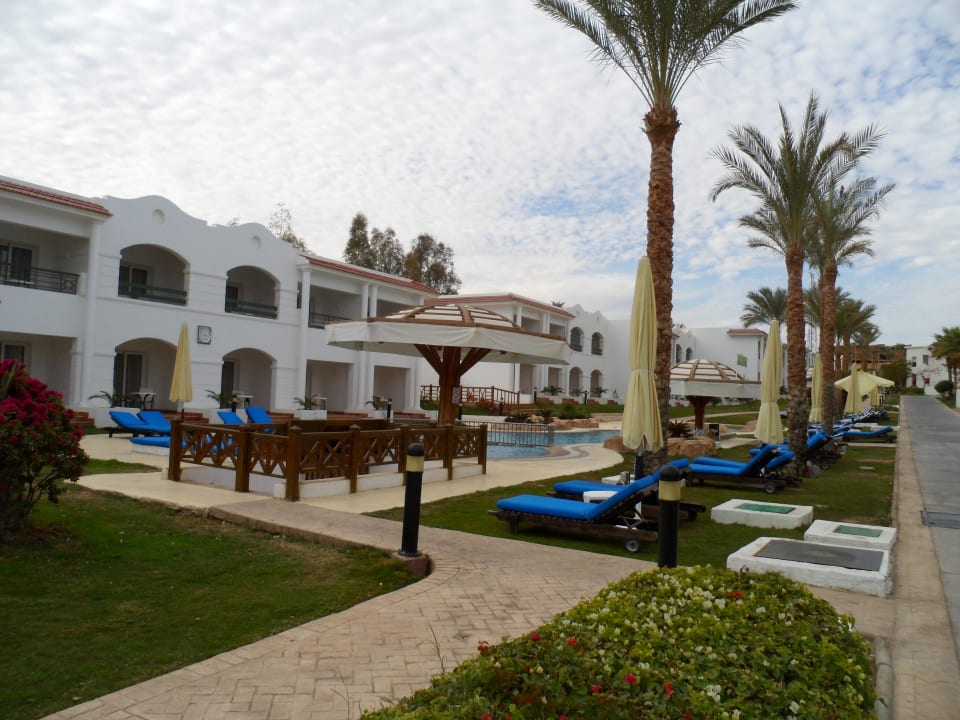 Einer der 9 Pools JAZ Sharm Dream