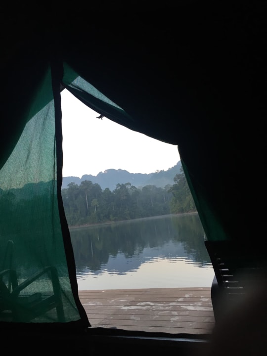 Blick aus dem Zelt Elephant Hills Rainforest Camp
