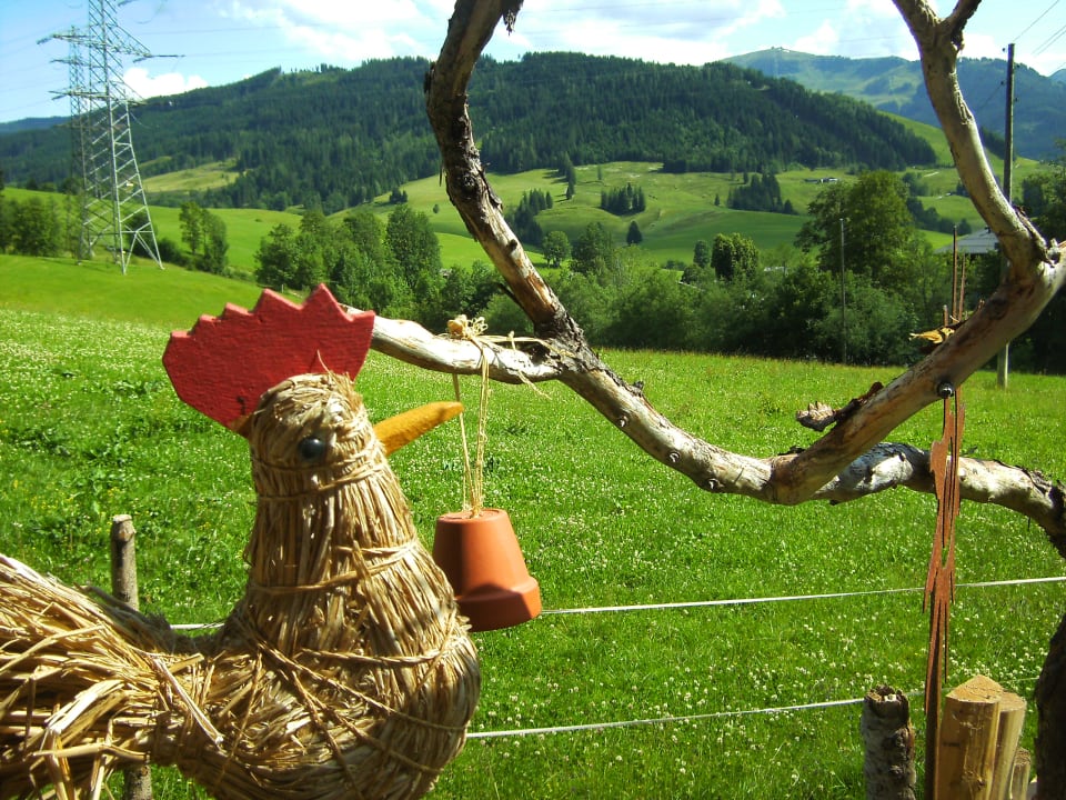 Ausblick Biobauernhof Schranbachhof