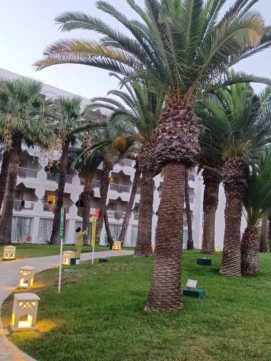 Gartenanlage Hotel JAZ Tour Khalef