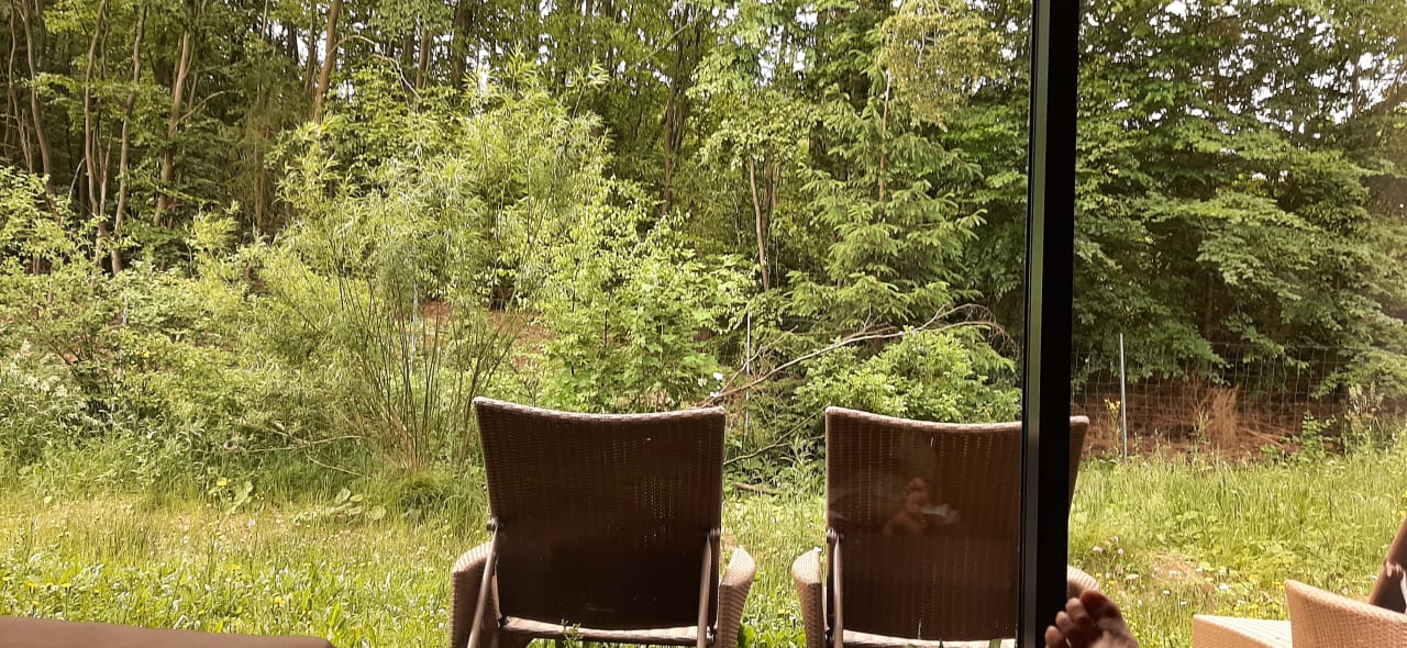 Ausblick Naturresort & Spa Schindelbruch