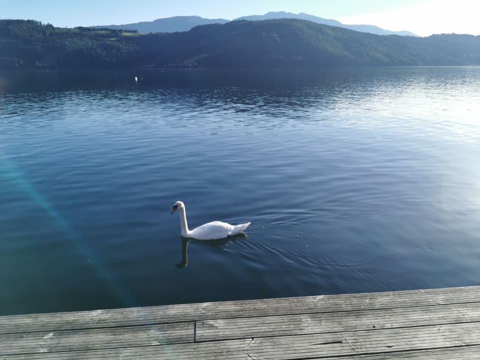 Strand Ferienwohnungen Fischerhaus direkt am See