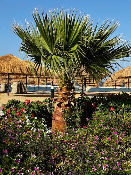 Gartenanlage Lazuli Hotel Marsa Alam