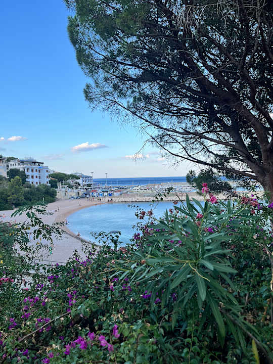 Sonstiges Club Esse Palmasera