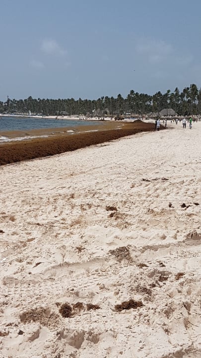 Strand Meliá Caribe Beach Resort-All Inclusive