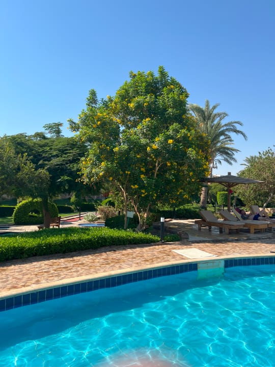 Pool Golden Beach Resort