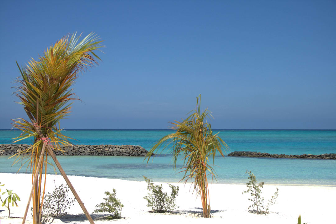 Süd Summer Island Maldives