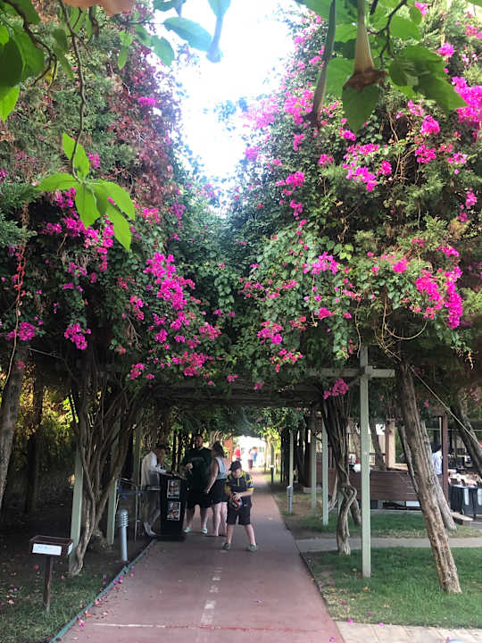 Gartenanlage Saturn Palace Resort Hotel