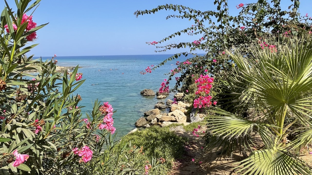 Ausblick Crystal Springs Beach Hotel