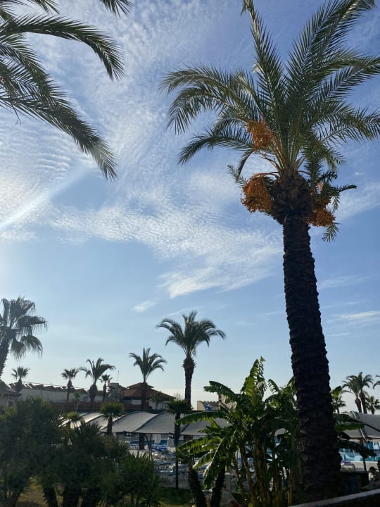 Außenansicht TUI BLUE Palm Garden