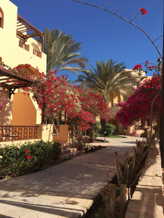 Gartenanlage Steigenberger Coraya Beach - Adults only