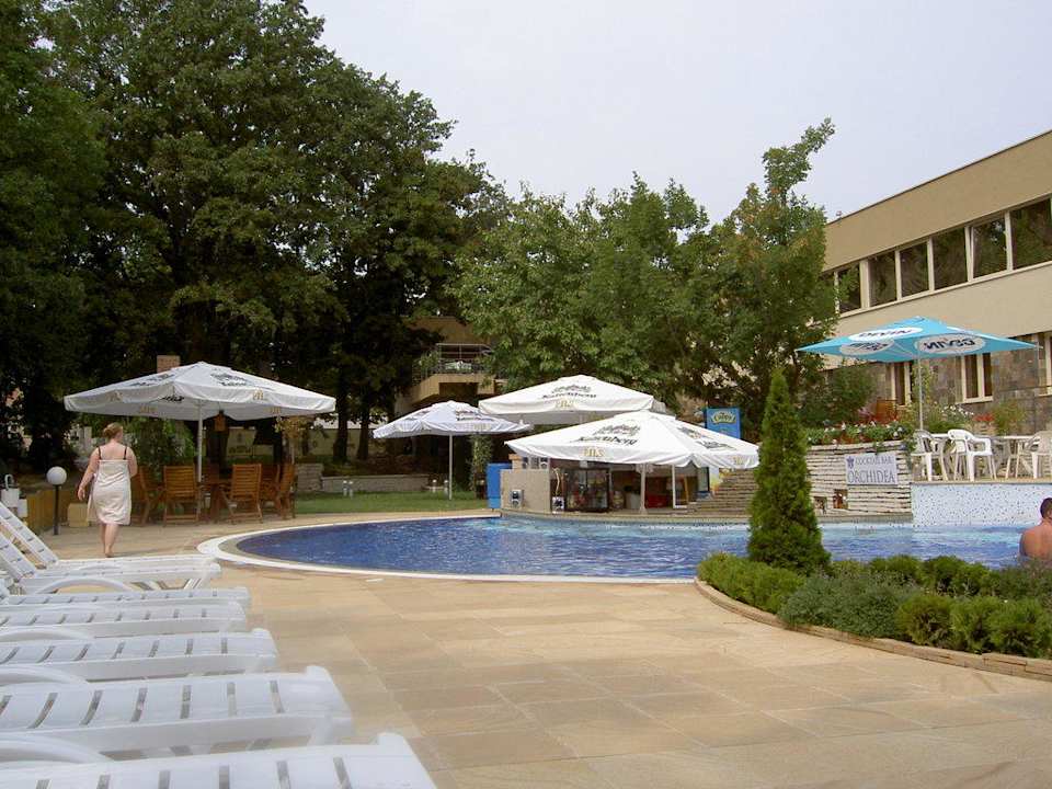 Pool Orchidea Spa Boutique