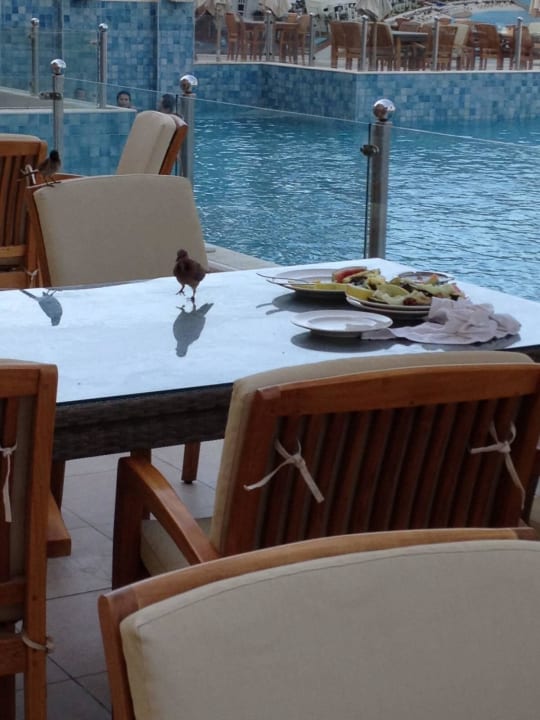 Tische im Aussenbereich DoubleTree by Hilton Resort & Spa Marjan Island