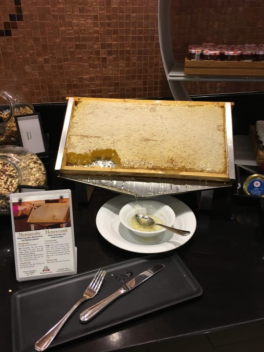 Gastro Hilton Mainz