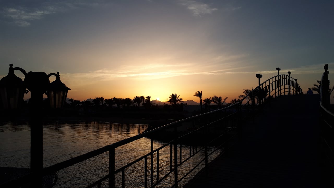 Ausblick Desert Rose
