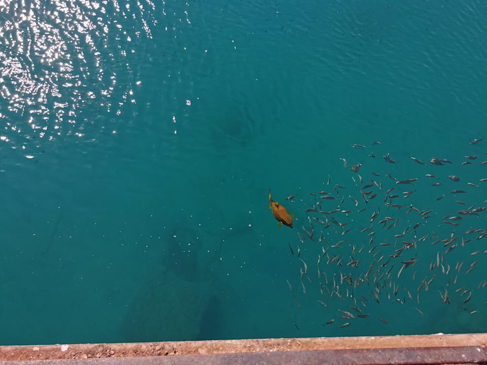 Strand The Grand Palace - Adults only