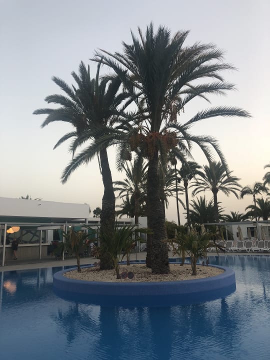 Pool Hotel Riu Papayas