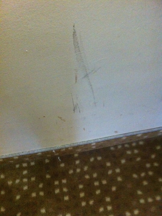 Flecken an der Wand Armas Gül Beach