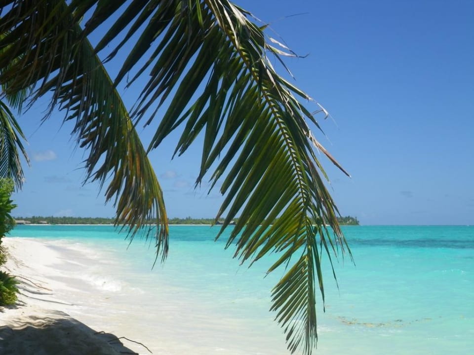 Plaża przy barze Summer Island Maldives