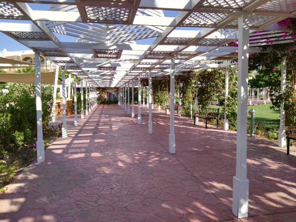 Gartenanlage Desert Rose