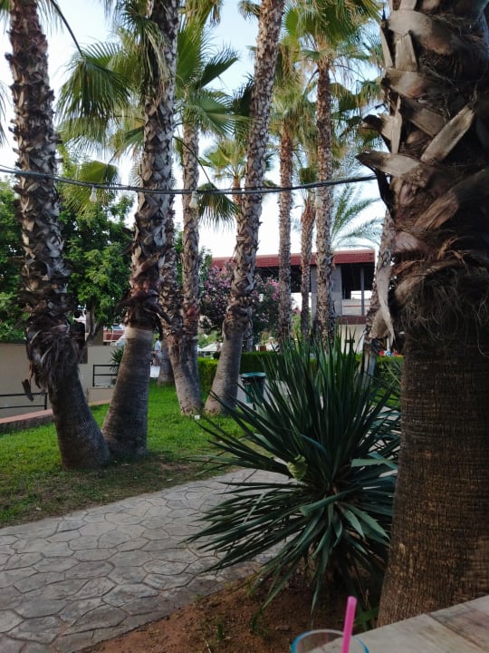 Gartenanlage Belconti Resort Hotel