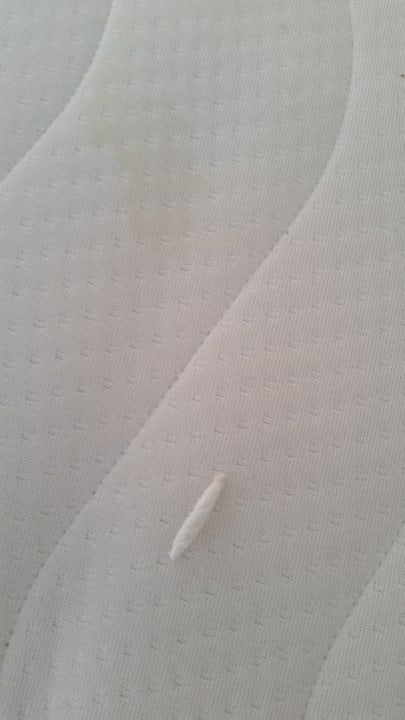 Zimmer Ostseeappartements Rügen Haus Metropol