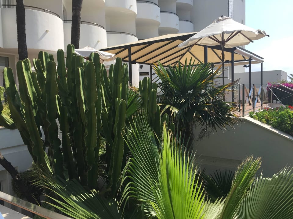 Eingang  Hipotels Hipocampo Playa